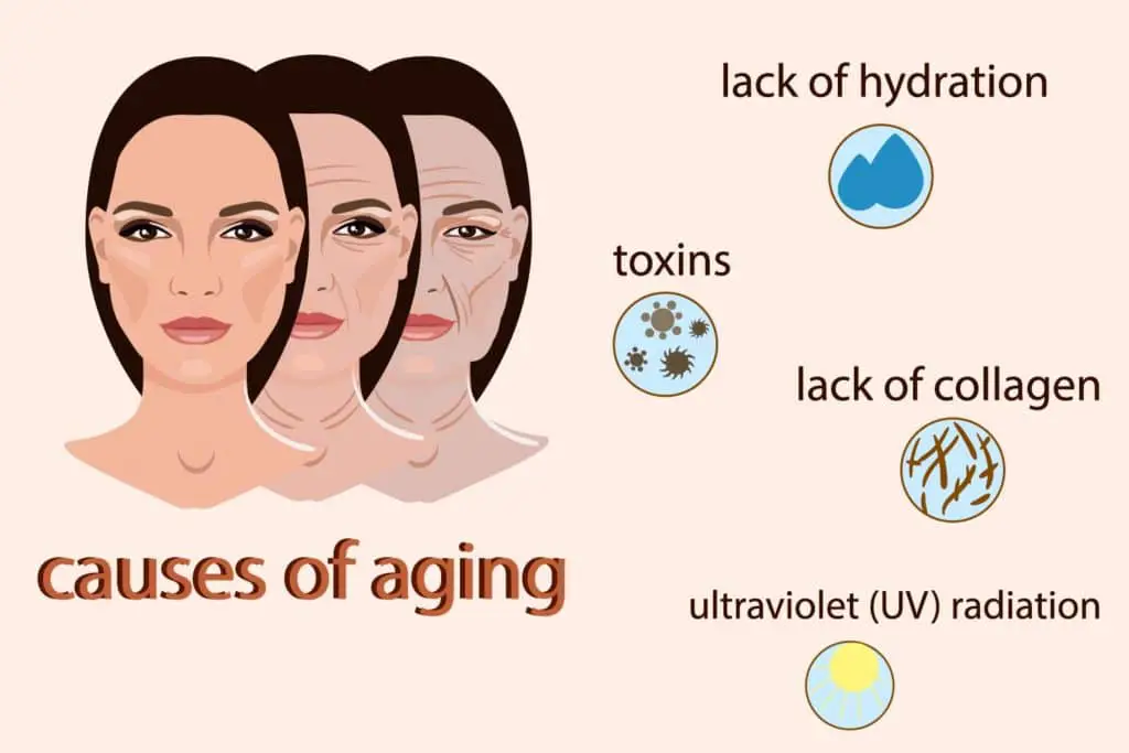 Causes of aging