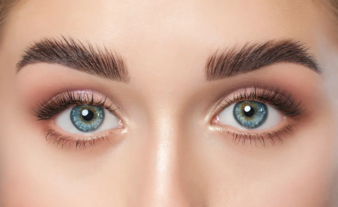 How long do eyebrows take to fully grow back? - Up On Beauty